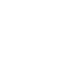 analysis (1)